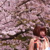 背中に桜を感じながら・・・