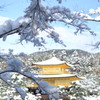 皆さま来られた！雪の金閣寺(^_-)