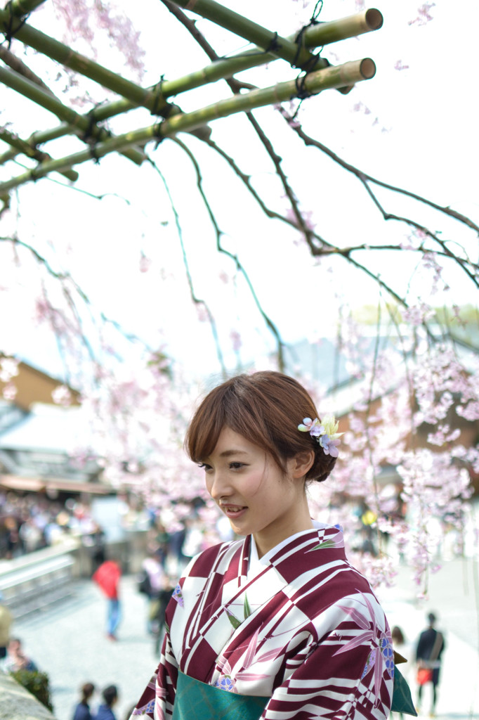 清水の桜に紛れて