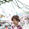 清水の桜に紛れて