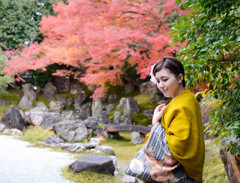 紅葉庭園背景