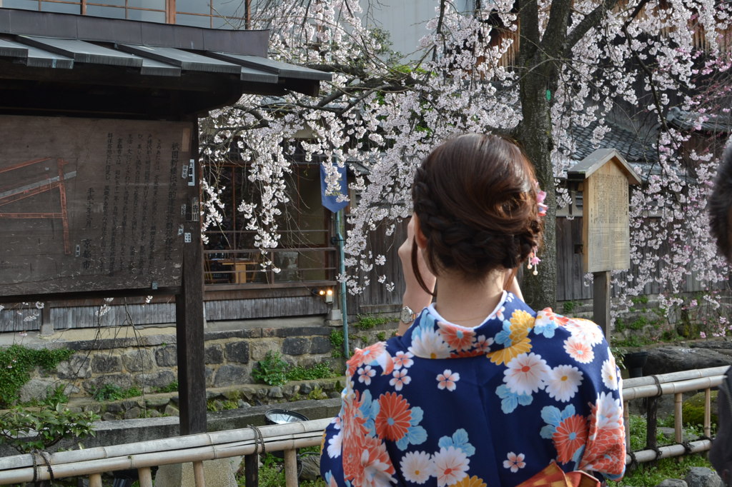 桜見に・・神戸から京都へ・・