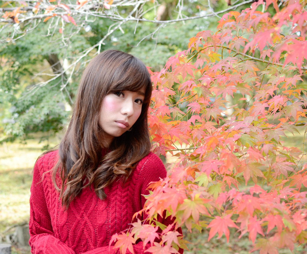 紅葉にあまえて