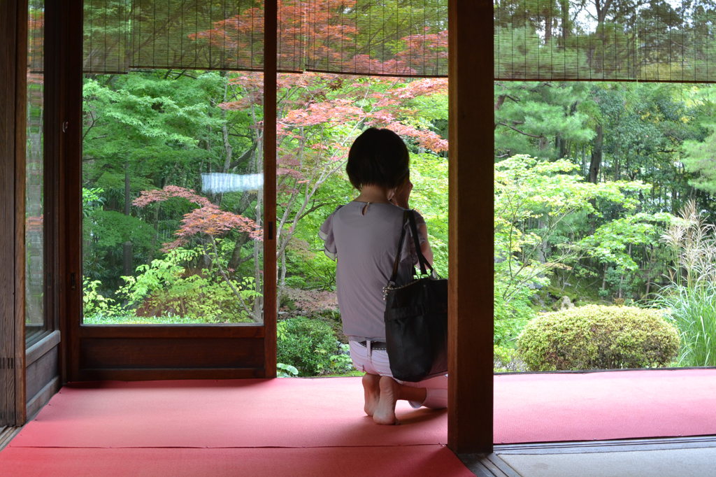 南禅寺　天授庵　カメラ女子