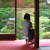 南禅寺　天授庵　カメラ女子