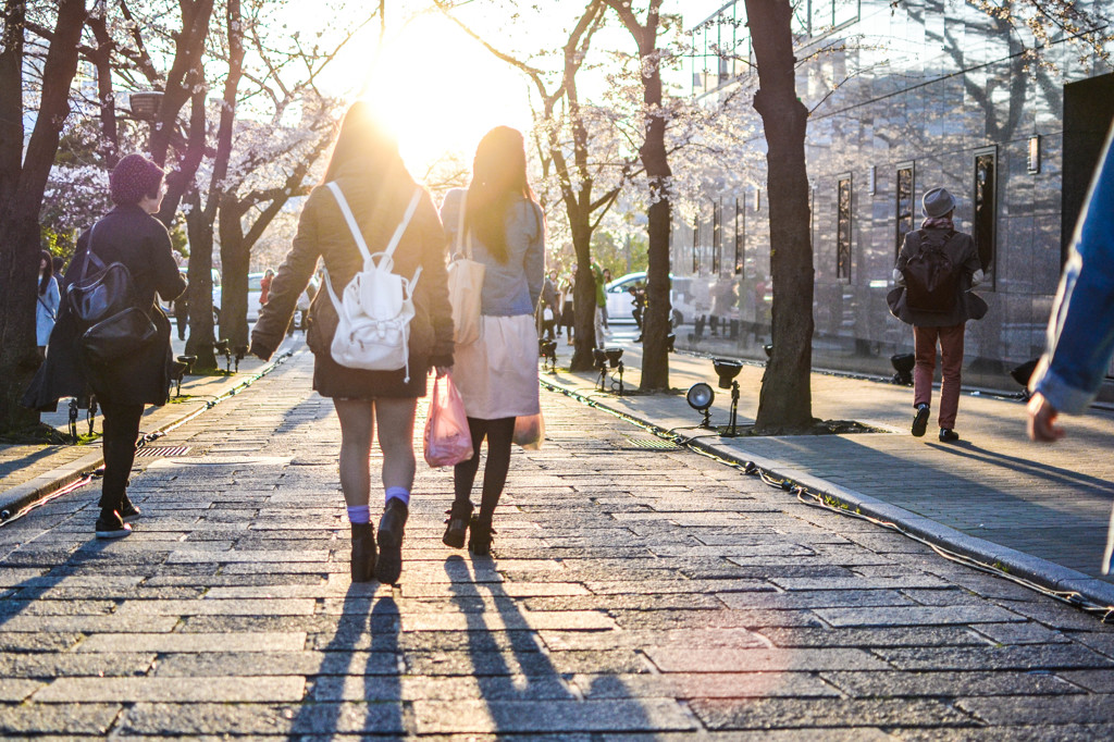 京都帰りの日差し