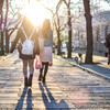 京都帰りの日差し