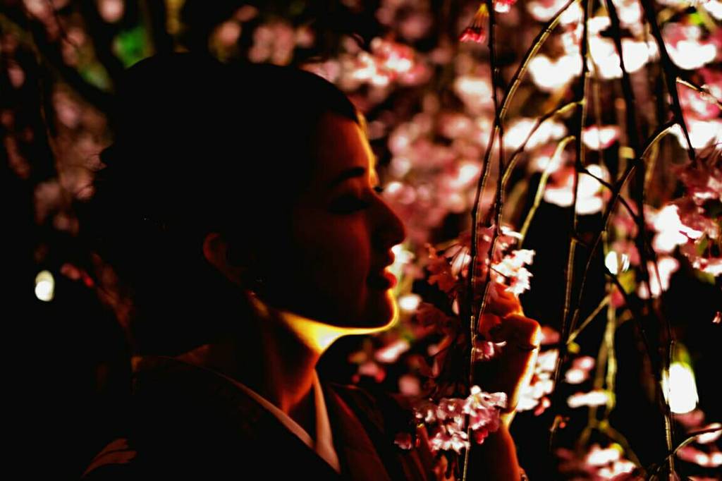 桜　着物　妖艶な