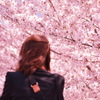 桜を浴びて・・・