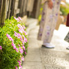 着物の足元と華