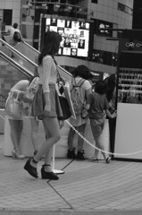 渋谷・街どり