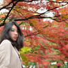 紅葉背景に