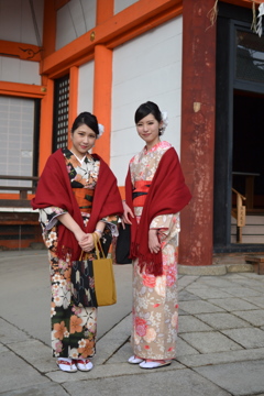 八坂神社の癒やし