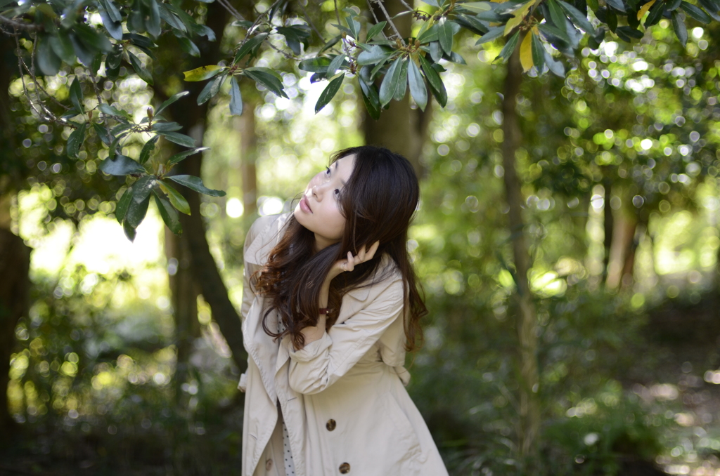 新緑の迷い込み