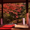 青蓮院　御茶
