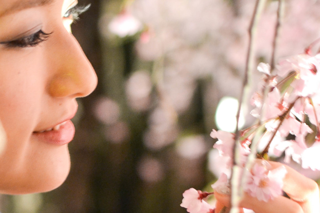 桜と魅力の