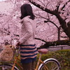いつも通る道・・桜に見とれて立ち止り・・