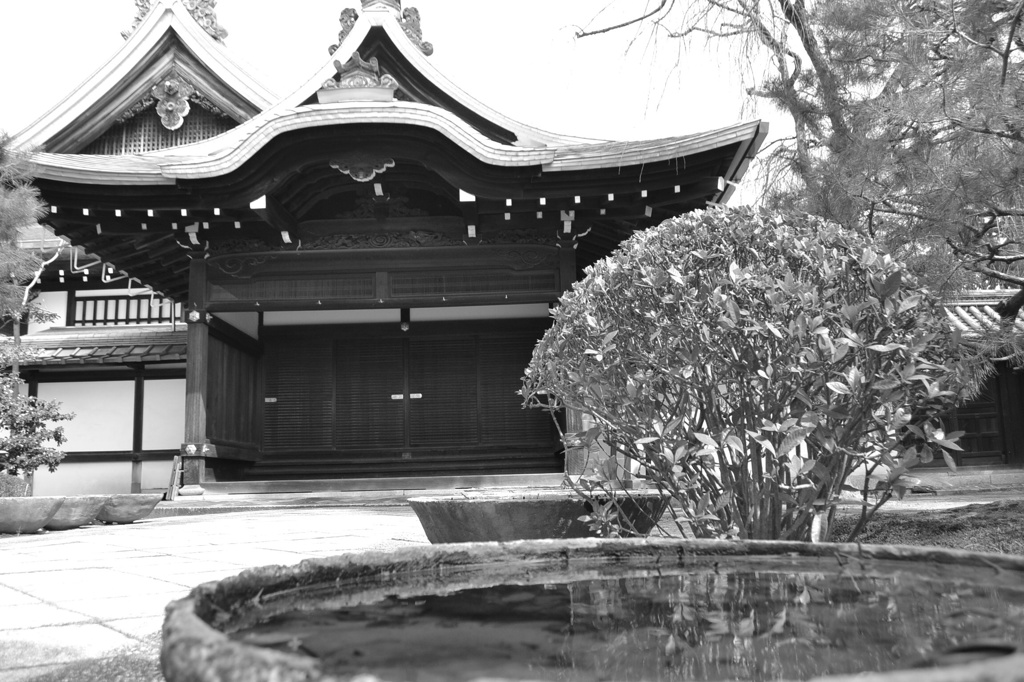 妙心寺　龍泉庵