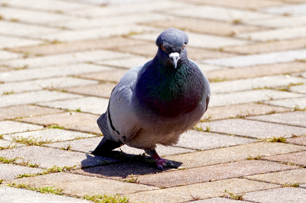 眼と目が合って