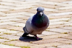 眼と目が合って