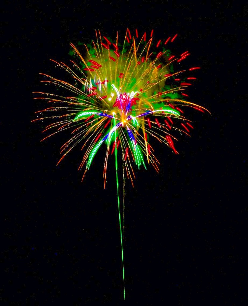 今年も撮りたいと思います