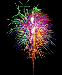 今年も撮影したい