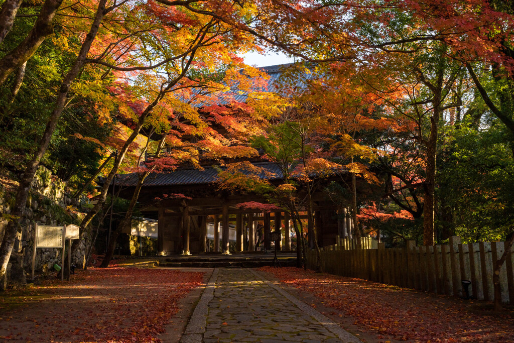 山門（表）と紅葉
