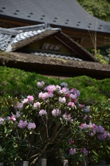 室生寺　本坊