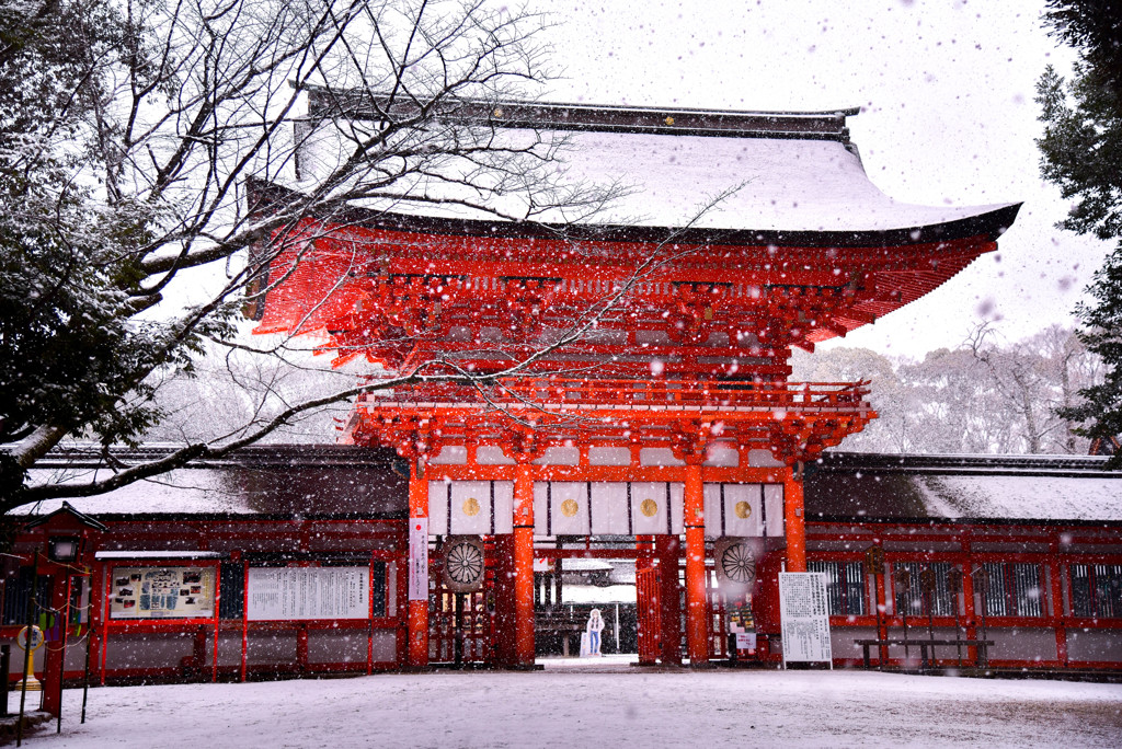 冬の京都　下鴨神社