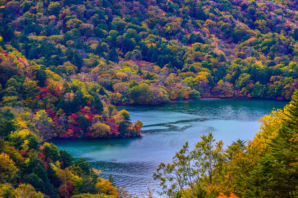 中禅寺湖の秋