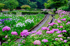 季節の移ろい　春〜夏