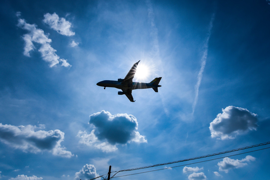 夏空と旅客機