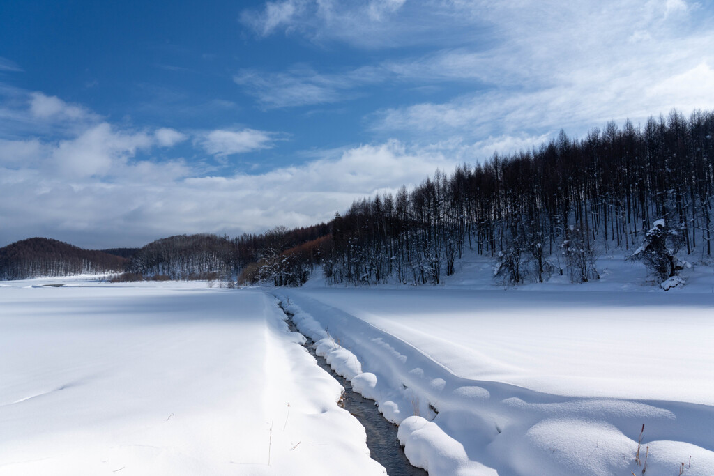 雪原に水路