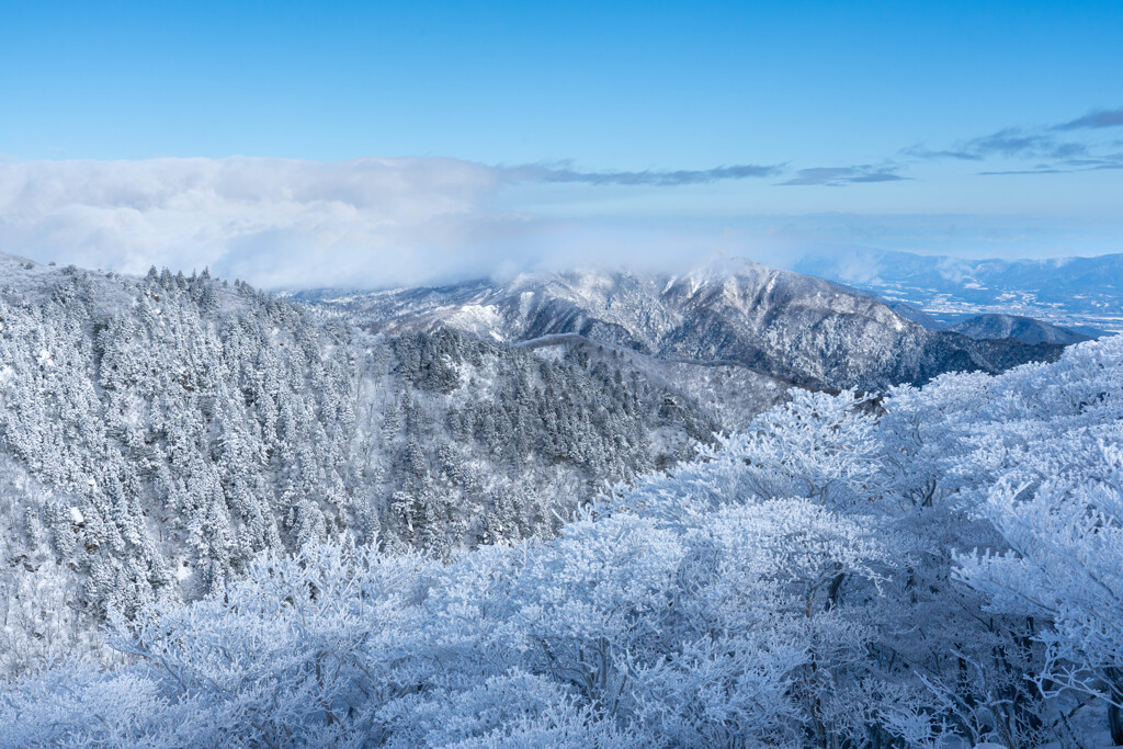 霧氷と鈴鹿の峰々