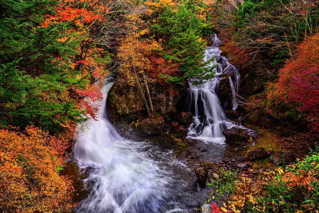 紅葉の滝