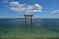 空気も澄む白鬚神社　大鳥居