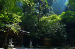 朝の光射す、貴船神社　奥宮