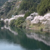 山桜鏡
