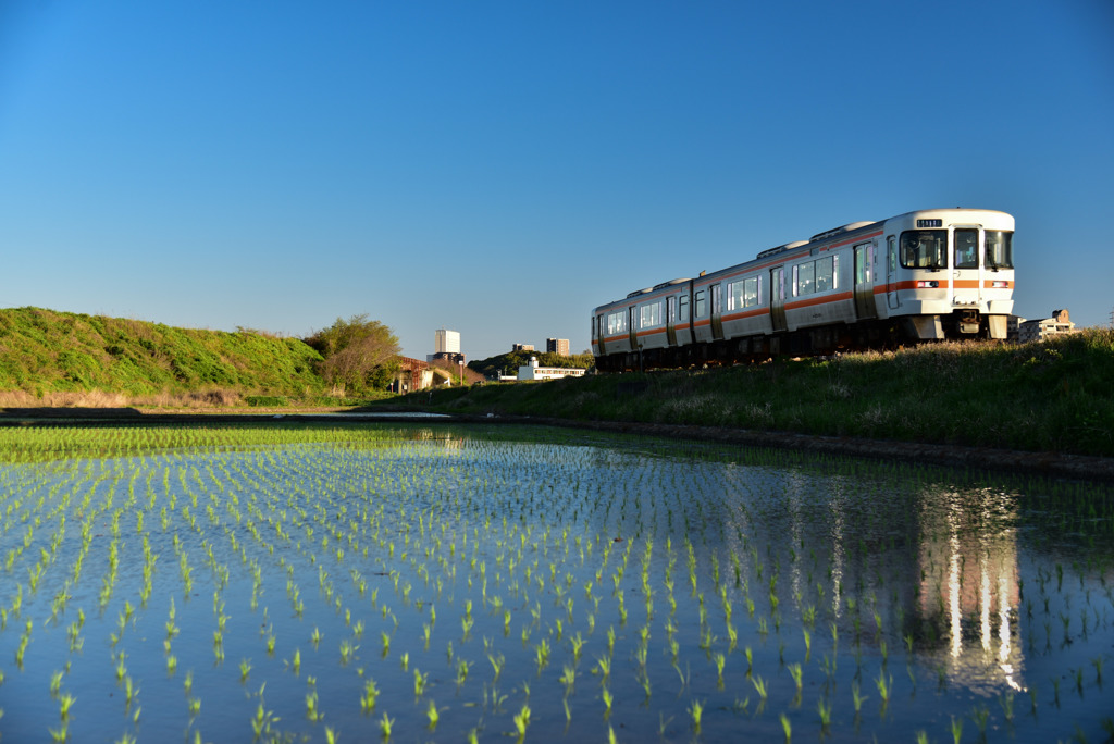 田植えの頃