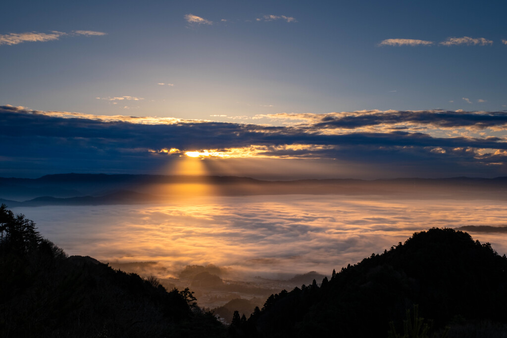 雲海を照らす