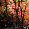 紅葉日和
