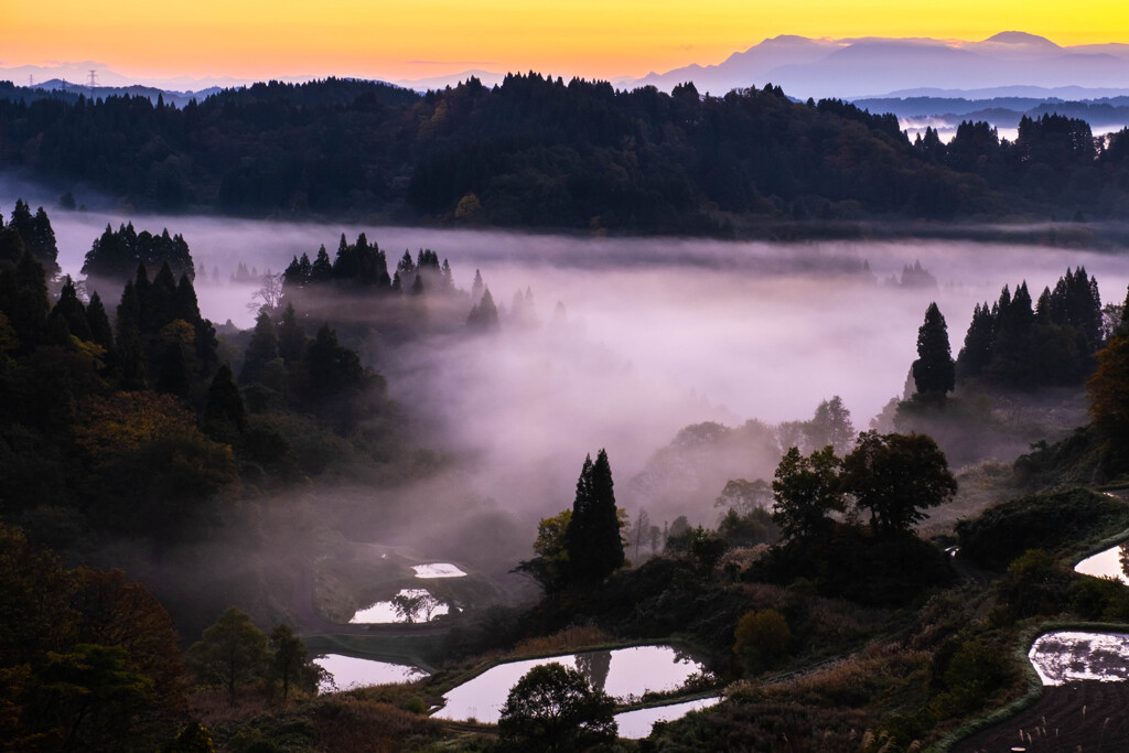 晩秋　蒲生の棚田