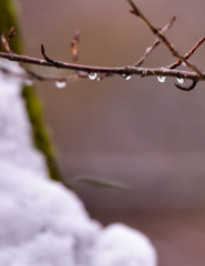 雪解け水