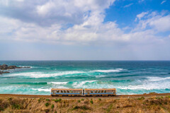 緑の海と列車