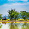 春の田園