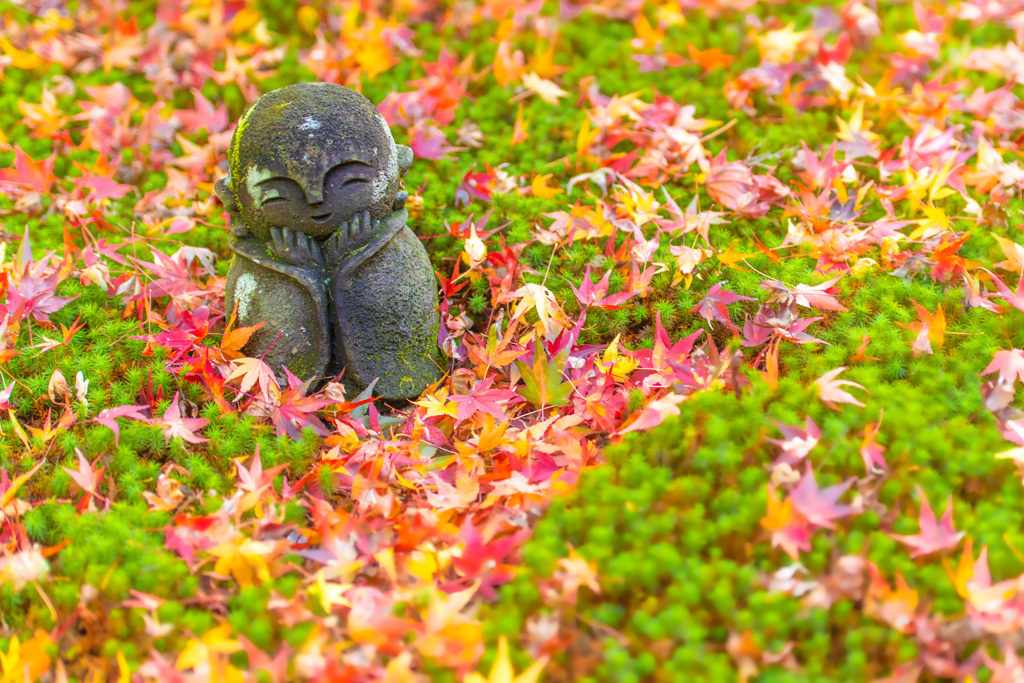 定番　圓光寺の御地蔵様