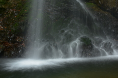 落ち葉も洗われる白藤の滝