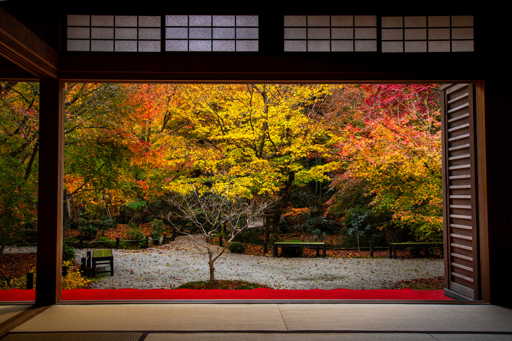 圓光寺　十牛之庭