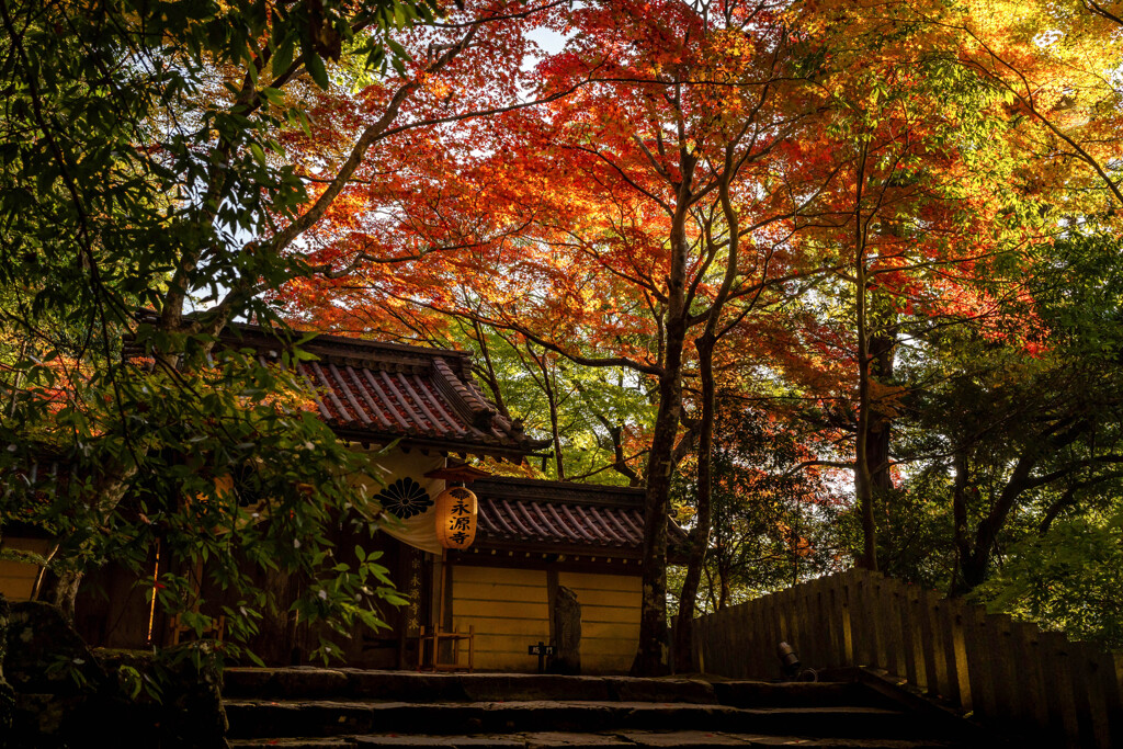 総門と紅葉