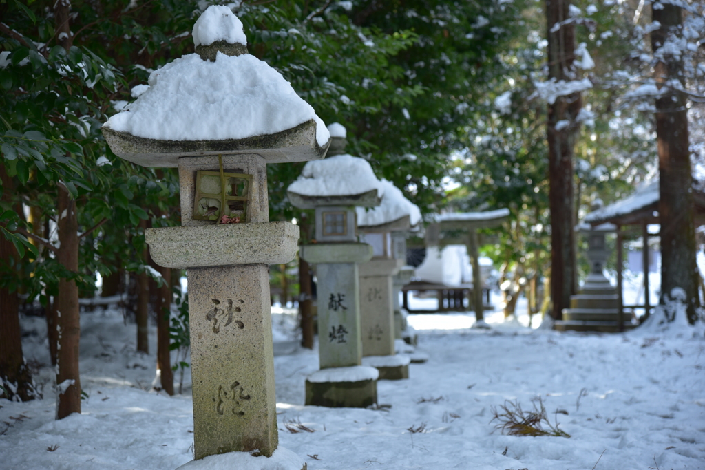 厳粛な参道 長寿寺